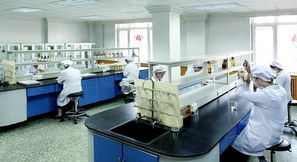 豪华赛皇宫，药价为何高？——透视哈药六厂事件中的网络技术与舆论影响