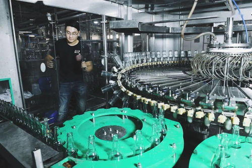 奉贤三宝焕新篇 火山荔枝、黄桃与桂花酒酿的汽水电商之旅